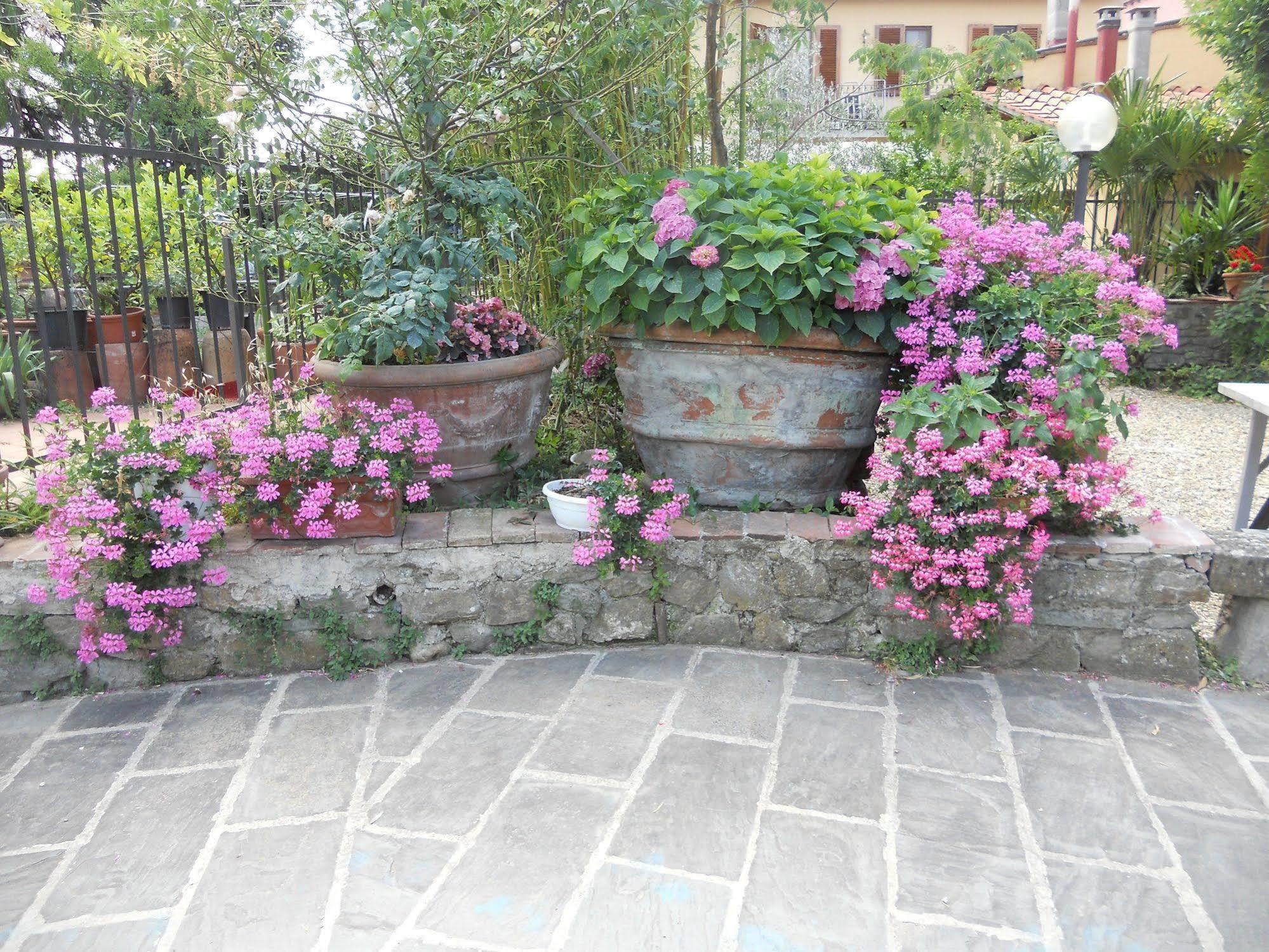 Agriturismo Le Macine ฟลอเรนซ์ ภายนอก รูปภาพ