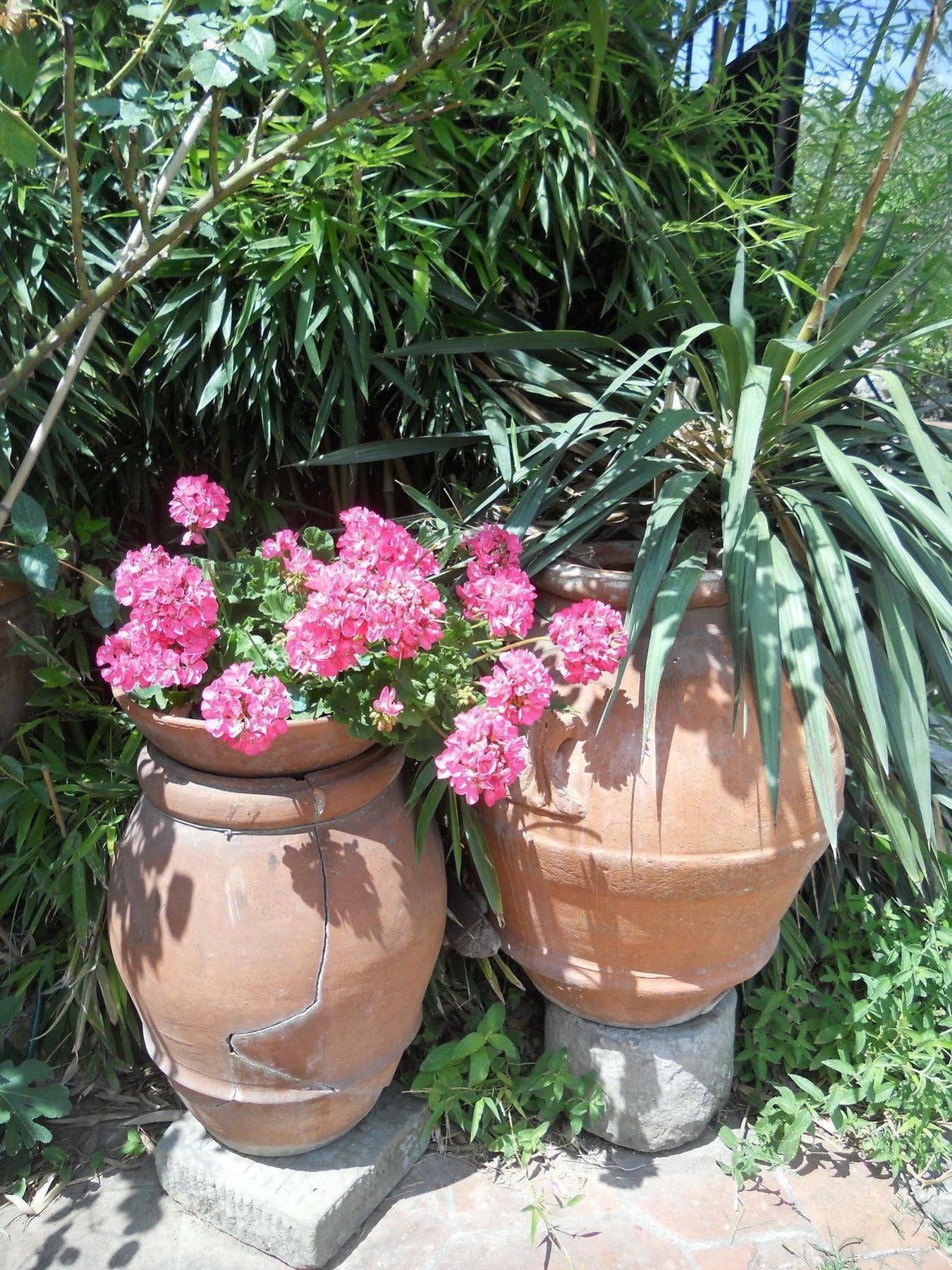 Agriturismo Le Macine ฟลอเรนซ์ ภายนอก รูปภาพ
