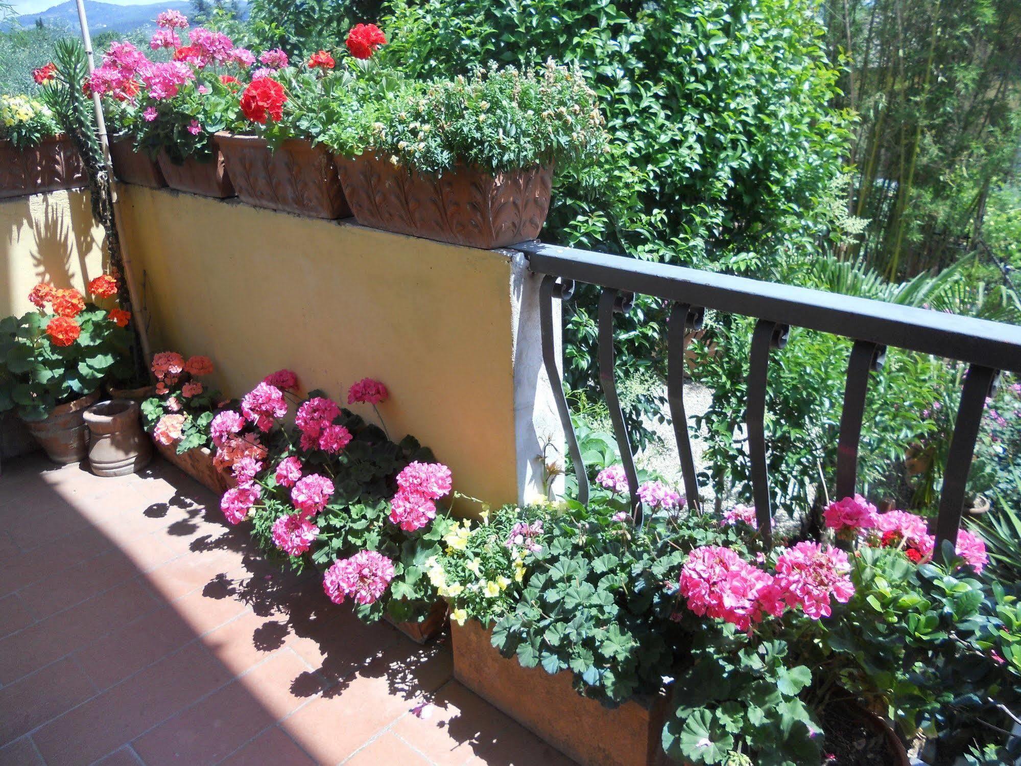 Agriturismo Le Macine ฟลอเรนซ์ ภายนอก รูปภาพ